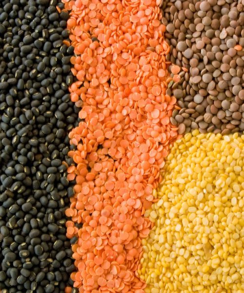 Lentils