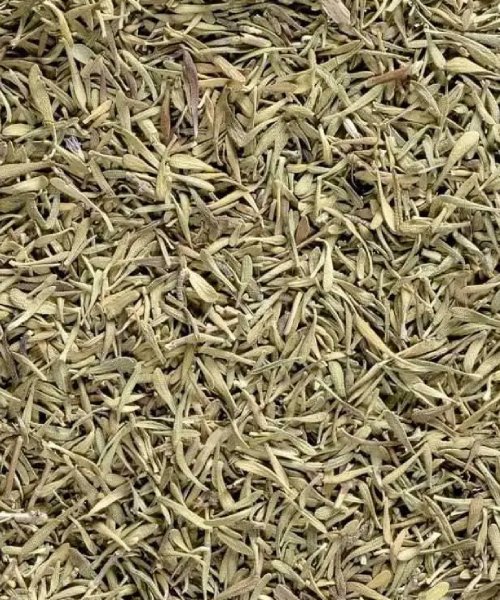 Thyme